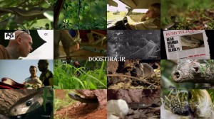 Black Mamba: Kiss Of Death 2014