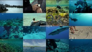 دانلود قسمت سوم مستند جزایر مرگبار Shark Island