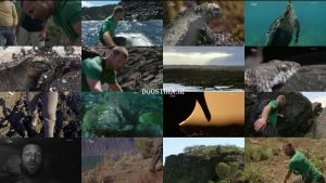 دانلود قسمت چهارم مستند جزایر مرگبار Volcano Island