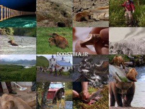 Alaska: Into the Wilderness - Giant Bears of Kodiak Islands 