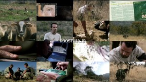 دانلود مستند در جستجوی پلنگ سیاه In Search of a Black Legend