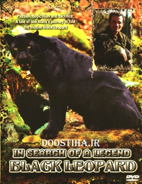 National Geographic - In Search of a Legend: The Black Leopard