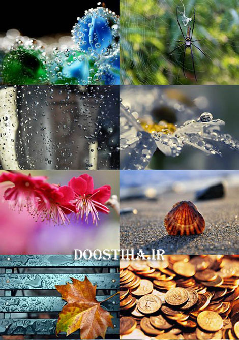 دانلود سری اول والپیپرهای ماکرو Macro Wallpapers دانلود والپیپرهای ماکرو Wallpaper Macro Selection