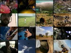 دانلود مستند لحظات شگفت انگیز Most Amazing Moments 2004 دانلود مستند حوادث شگفت انگیز نشنال جئوگرافیک