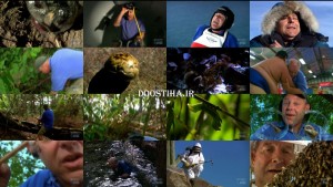 دانلود مستند دیدنی World's Biggest and Baddest Bugs 2009 World's Biggest and Baddest Bugs