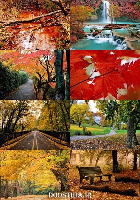 Beautiful Autumn Wallpapers
