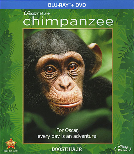 دانلود مستند شامپانزه با دوبله فارسی Chimpanzee 2012