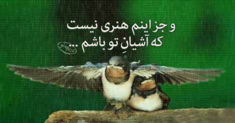 اشعار تصویری زیبا و عاشقانه