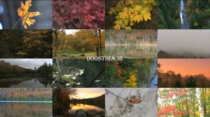 دانلود مستند Fall in New England