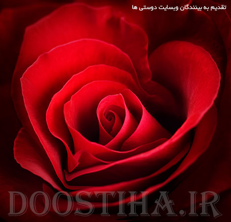 زیباترین پیامک های عاشقانه و احساسی 16 شهریور 1393 پیامک های عاشقانه چای و قهوه