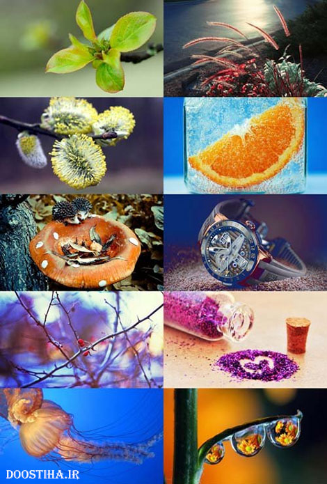 دانلود عکس های ماکرو Wallpaper Macro Selection