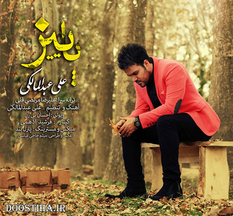 دانلود آهنگ جدید علی عبدالمالکی به نام پاییز