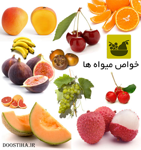 دانلود نرم افزار ایرانی خواص میوه ها و سبزیجات (اندروید) دانلود نرم افزار خواص میوه ها و سبزیجات برای موبایل