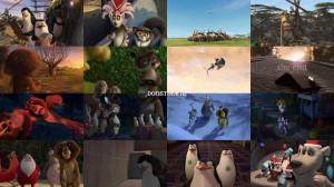 Madly Madagascar 2013