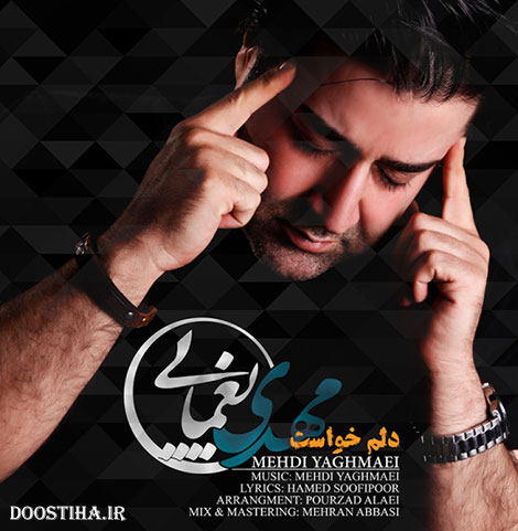 دانلود آهنگ جدید مهدی یغمایی به نام دلم خواست