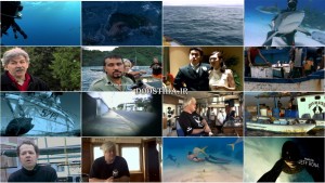 مستند Sharkwater 2006