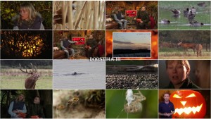 دانلود مستند مناظر پاییز BBC: Autumnwatch 2014 BBC Autumnwatch 2014 E01