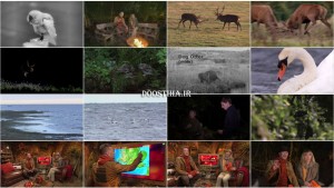 دانلود مستند مناظر پاییز BBC: Autumnwatch 2014 BBC Autumnwatch 2014 E02