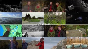 دانلود مستند مناظر پاییز BBC: Autumnwatch 2014 BBC Autumnwatch 2014 E03