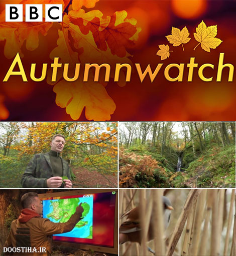 دانلود مستند مناظر پاییز BBC Autumnwatch 2014