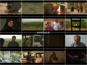 فیلم طاووس های بی پر