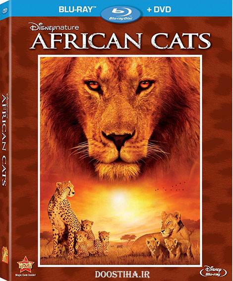 دانلود مستند گربه&zwnj;های آفریقایی با دوبله فارسی African Cats 2011