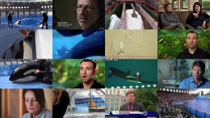 دانلود رایگان دوبله فارسی فیلم Blackfish 2013