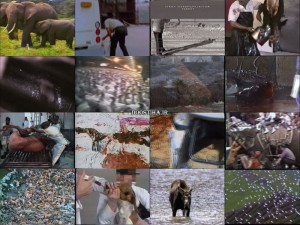 دانلود مستند ساکنین زمین Earthlings 2005