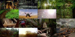 دانلود مستند چرخه زندگی Life Cycles 2010 دانلود مستند Life Cycles 2010