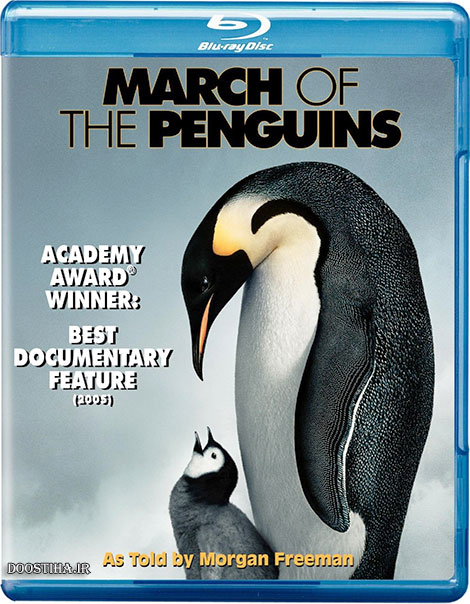 دانلود دوبله فارسی مستند March of the Penguins 2005 دانلود مستند رژه پنگوئن ها با دوبله فارسی March of the Penguins 2005