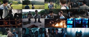 دانلود مستقیم فیلم The Maze Runner 2014