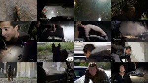 Downed Power Line/Dog Attack