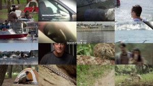 Sinking Car/Rattlesnake Encounter