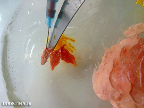 تهیه دسر ژله تزریقی