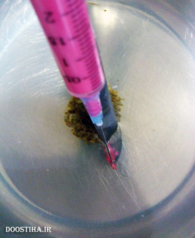 آموزش و طرز تهیه دسر ژله تزریقی