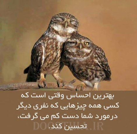 جملات الهام بخش، عکس نوشته آموزنده، گل واژه های زیبا برای زندگی