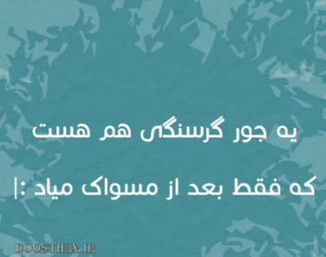 جملات بامزه و شوخی های خنده دار و خلاقانه ایرانیان