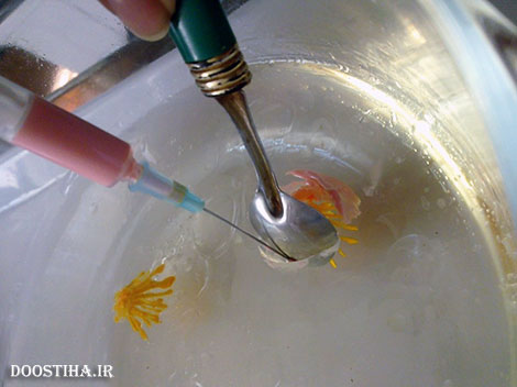 تهیه ژله تزریقی برای دسر