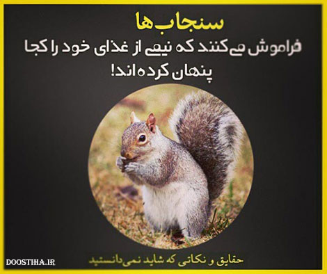 حقایق جالب، نکته های علمی و دانستنی های خواندنی