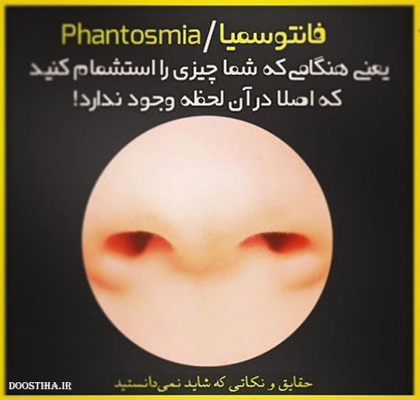 حقایق جالب، نکته های علمی و دانستنی های خواندنی