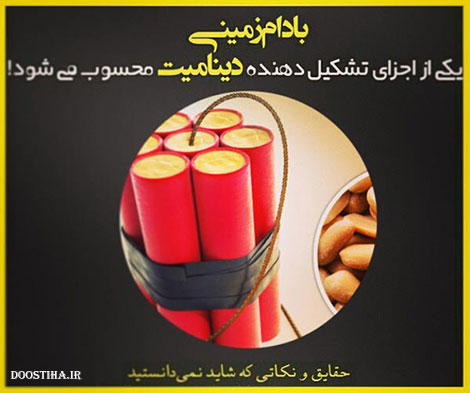 حقایق جالب، نکته های علمی و دانستنی های خواندنی