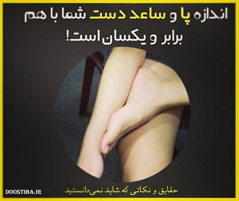 حقایق جالب، نکته های علمی و دانستنی های خواندنی