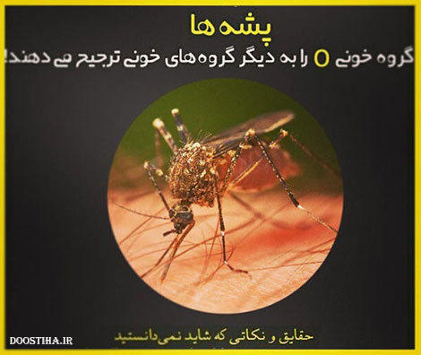 حقایق جالب، نکته های علمی و دانستنی های خواندنی