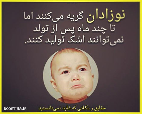 دانستنی های خواندنی و مقالات علمی و آموزنده