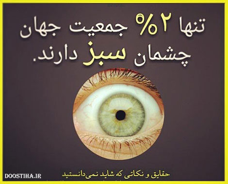 دانستنی های خواندنی و مقالات علمی و آموزنده