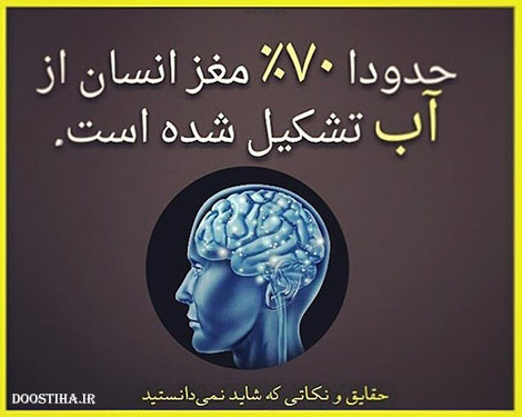 دانستنی های خواندنی و مقالات علمی و آموزنده