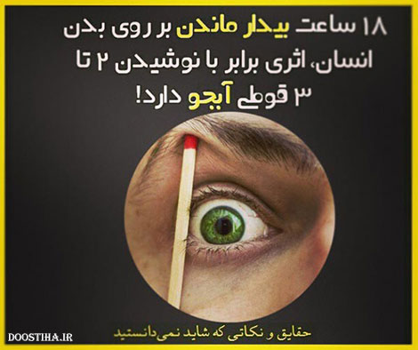 حقایق جالب، نکته های آموزنده و دانستنی های خواندنی