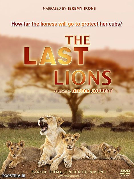 دانلود مستند آخرین شیرها با دوبله فارسی The Last Lions 2011