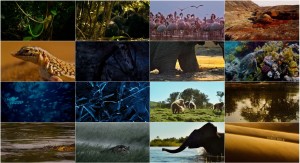 دانلود فیلم مستند Enchanted Kingdom 2014