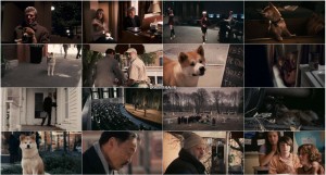 دانلود فیلم هاچیکو: داستان یک سگ Hachi: A Dog's Tale 2009